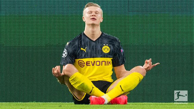 挪威主帅：哈兰德就是进球机器，已为庆祝过火向意大利道歉（挪威主教练称哈兰德是进球机器，为过度庆祝向意大利致歉）