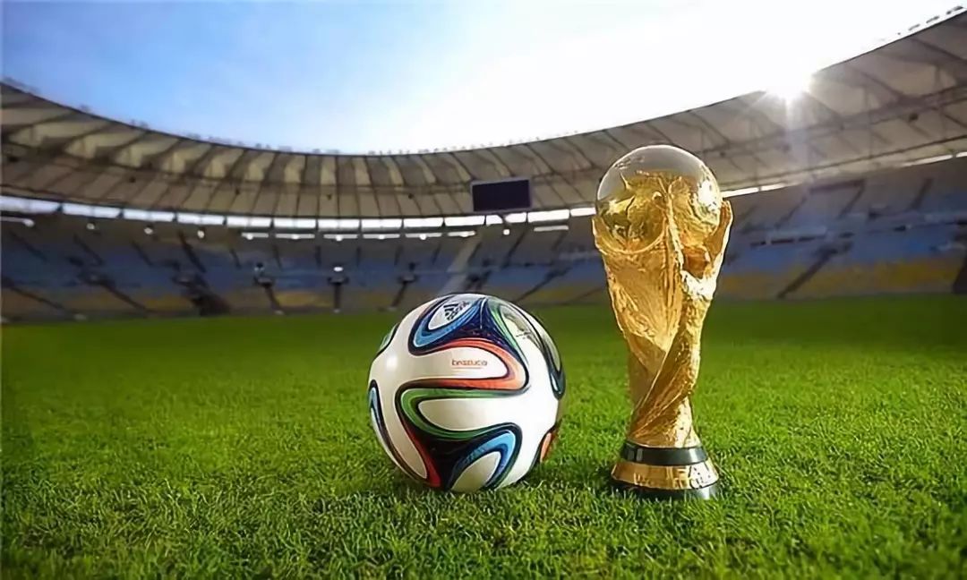 残特奥会夺金！南阳姑娘用全国冠军庆贺生日