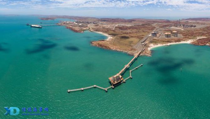 印度官员：向梅西以及所有球迷致歉，将对事件经过进行调查（印度官员向梅西及球迷致歉：已启动事件调查）